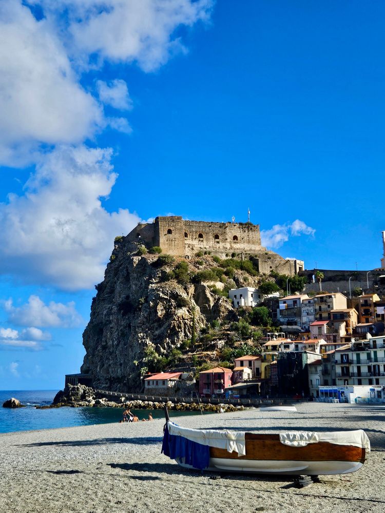 5- Scilla