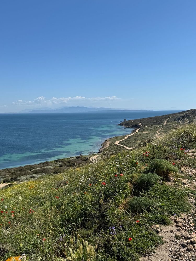 Plage sauvage où l'eau bleu de la mer contraste avec la verdoyante de la nature