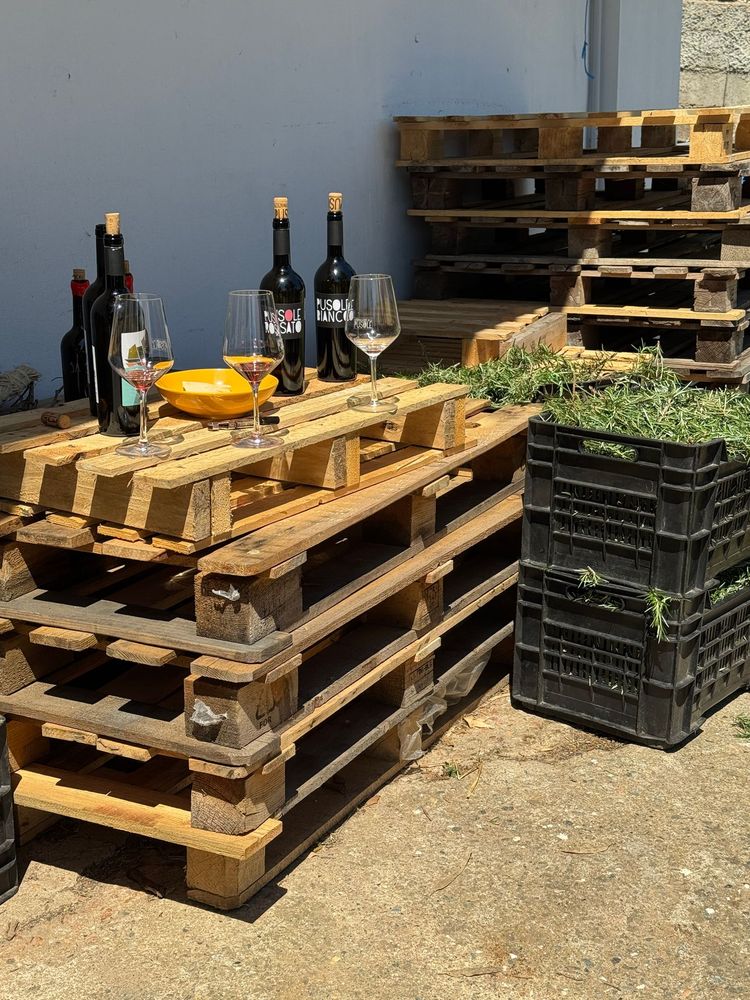 Visite de producteur et dégustation de vin sarde sur des palettes de livraison