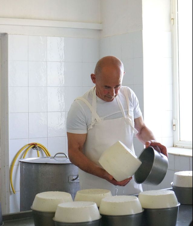Visite d'un producteur de fromages sardes